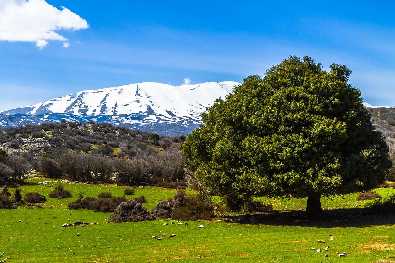 Wandern und Trekking in schöner Landschaft bei Psiloritis Ida Gebirge in Kreta, Griechenland
